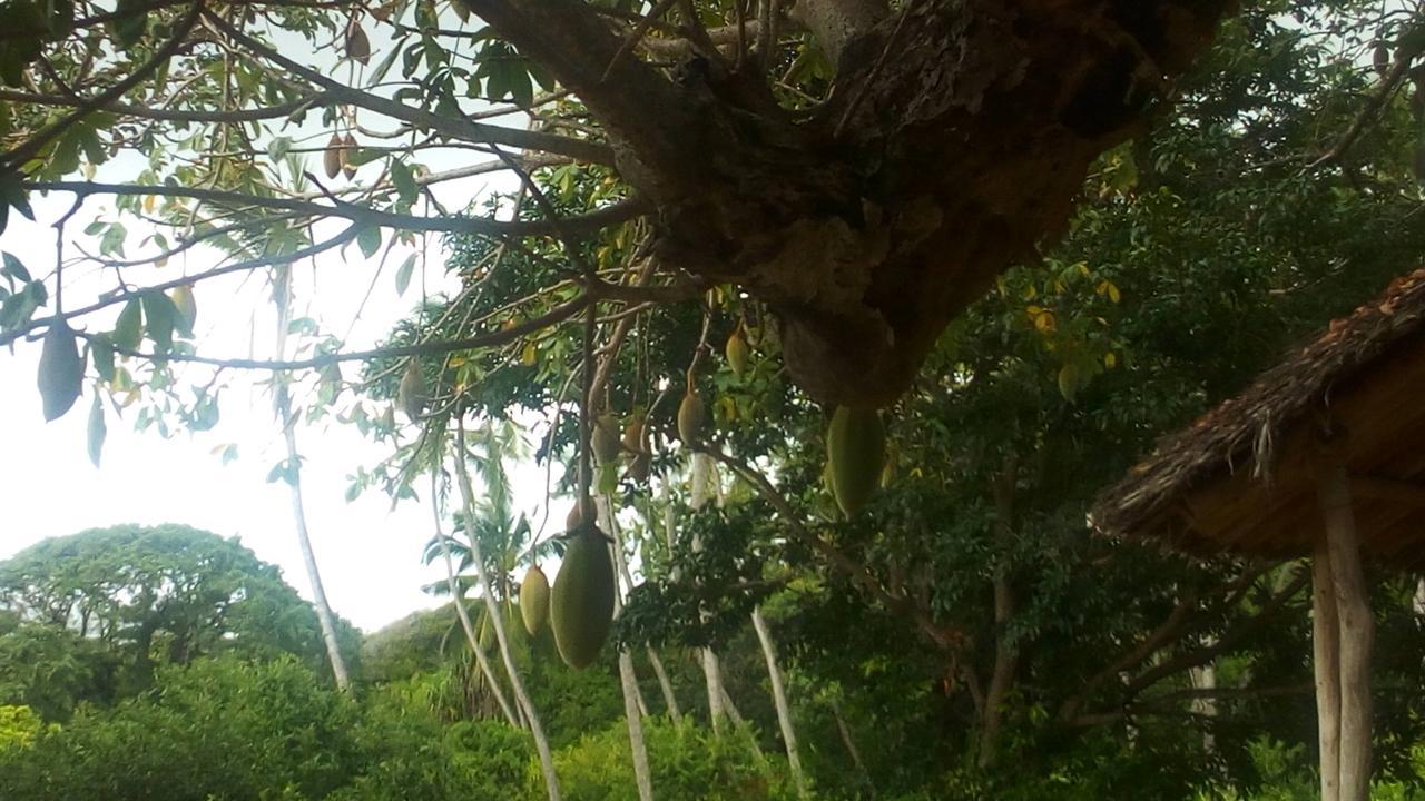 Bahari Pori Resort Pangani エクステリア 写真